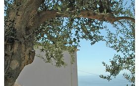 Al Poggio Antico