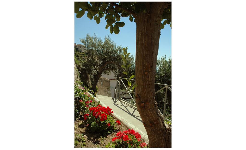 Al Poggio Antico Aparthotel Amalfi Kültér fotó
