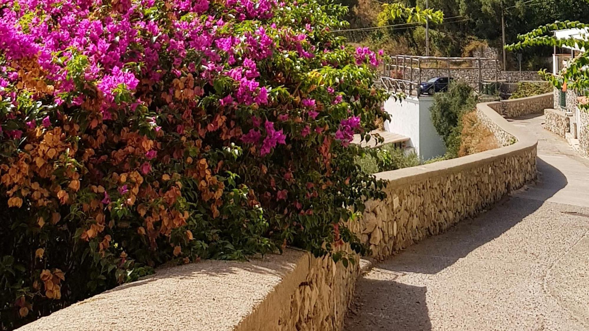Al Poggio Antico Aparthotel Amalfi Kültér fotó