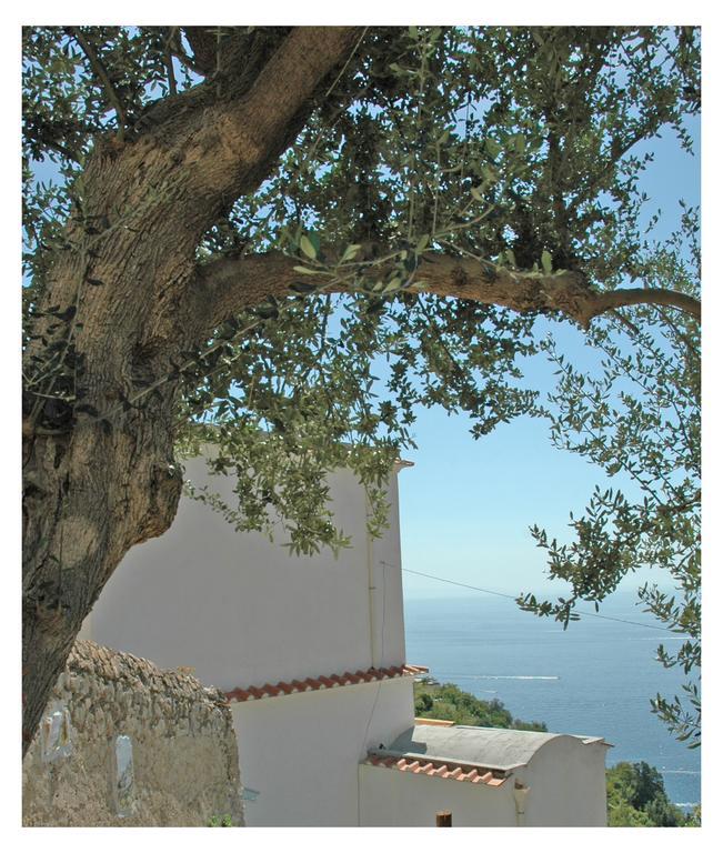 Al Poggio Antico Aparthotel Amalfi Kültér fotó
